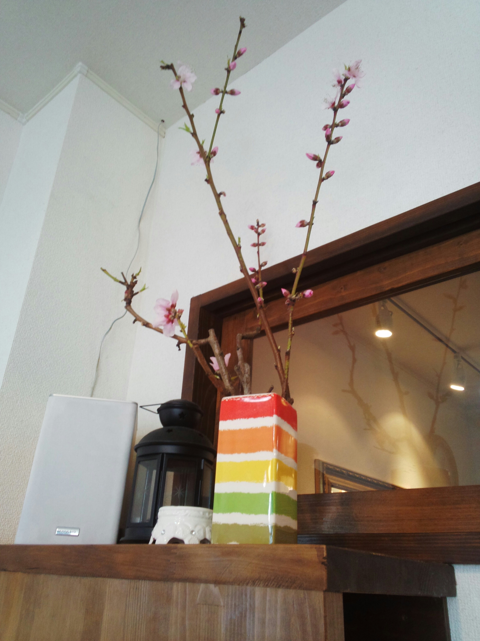 IMG_20150324_10553139.jpg image