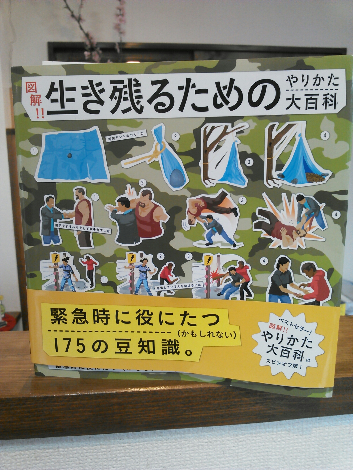 wp-1427360050361.jpg image